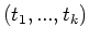 $(t_1,...,t_k)$