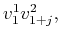 $v_1^1v_{1+j}^2,$